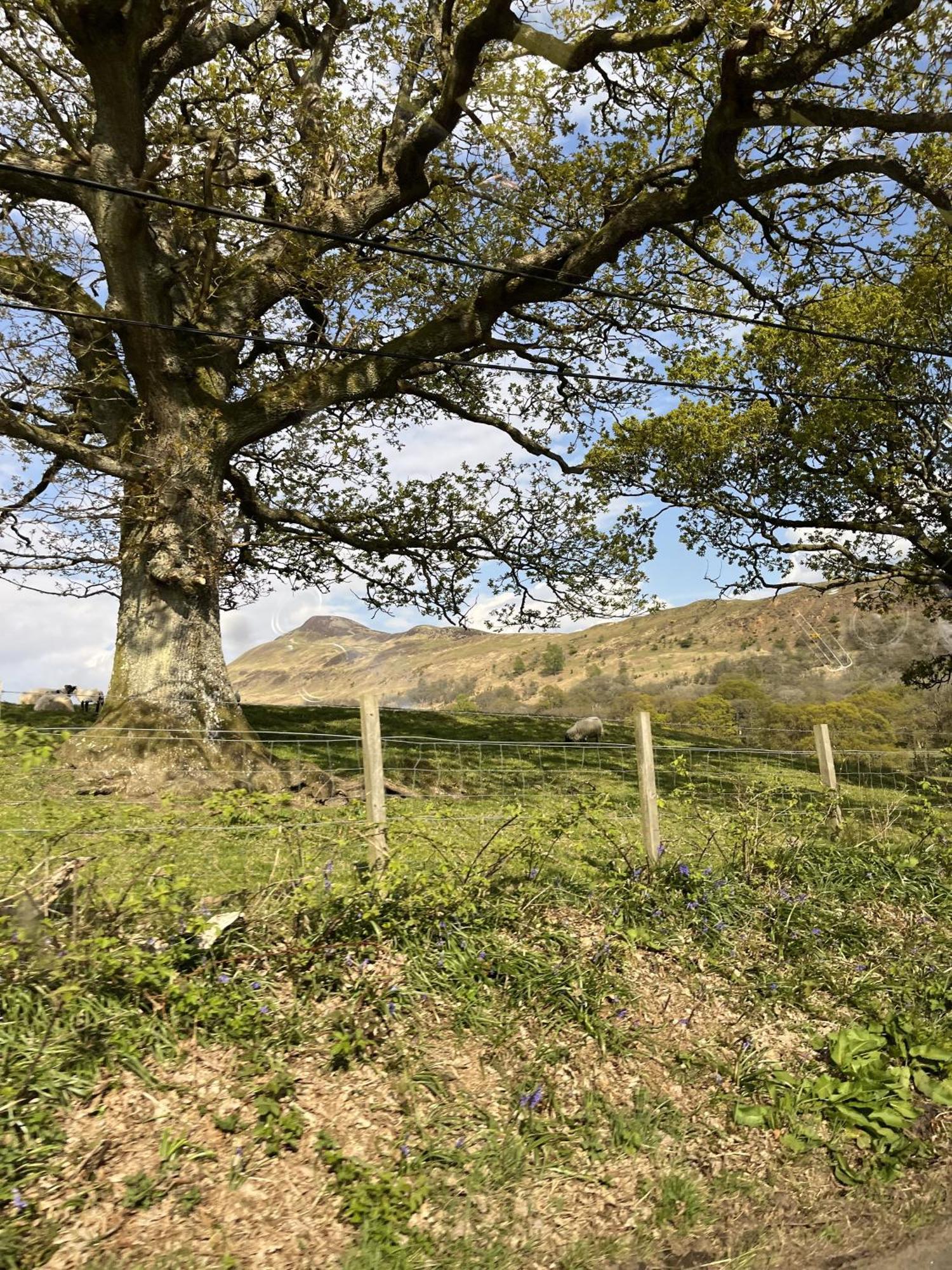 Clarinnes Cottage Luss Kültér fotó